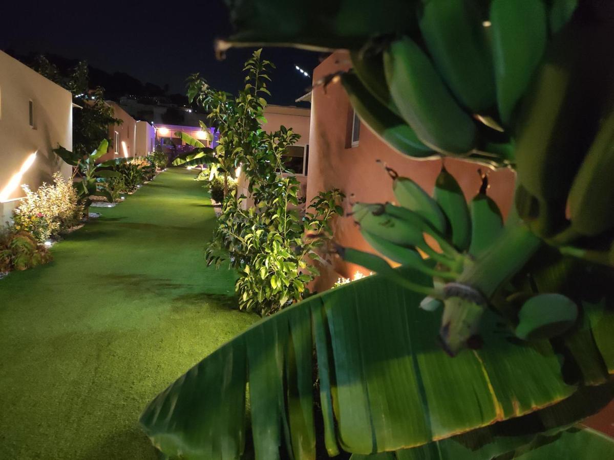Modular Bungalows With Heated Pool Artemis Greece Екстер'єр фото